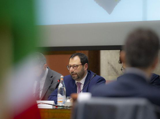 Stefano Patuanelli, foto Mise.gov.it