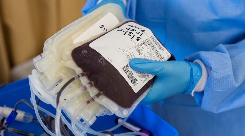 Donazione sangue, foto Pixabay