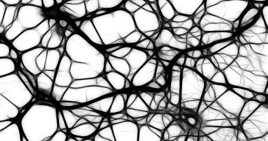 Neuroni, foto geralt da Pixabay