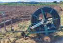 Agricoltura, foto Comunicato stampa
